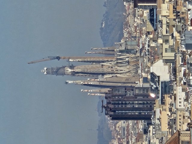 20260223_120924.jpg